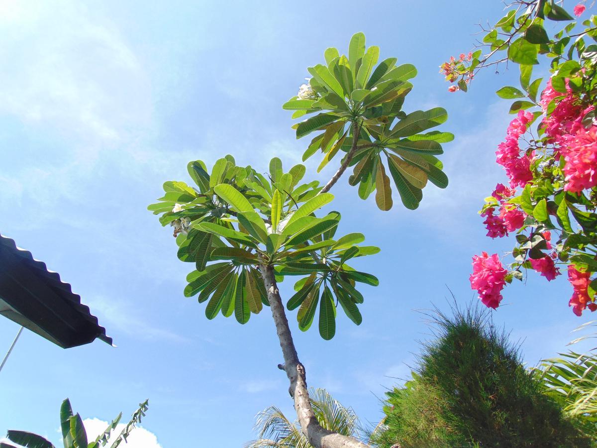 Sister Bungalow Hotel Gili Air Bagian luar foto